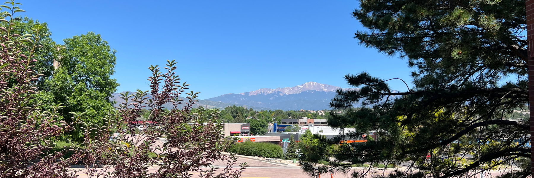 Crowns and Bridges | Dentist