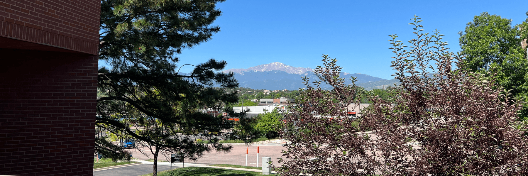 Dental Bonding | Dentist